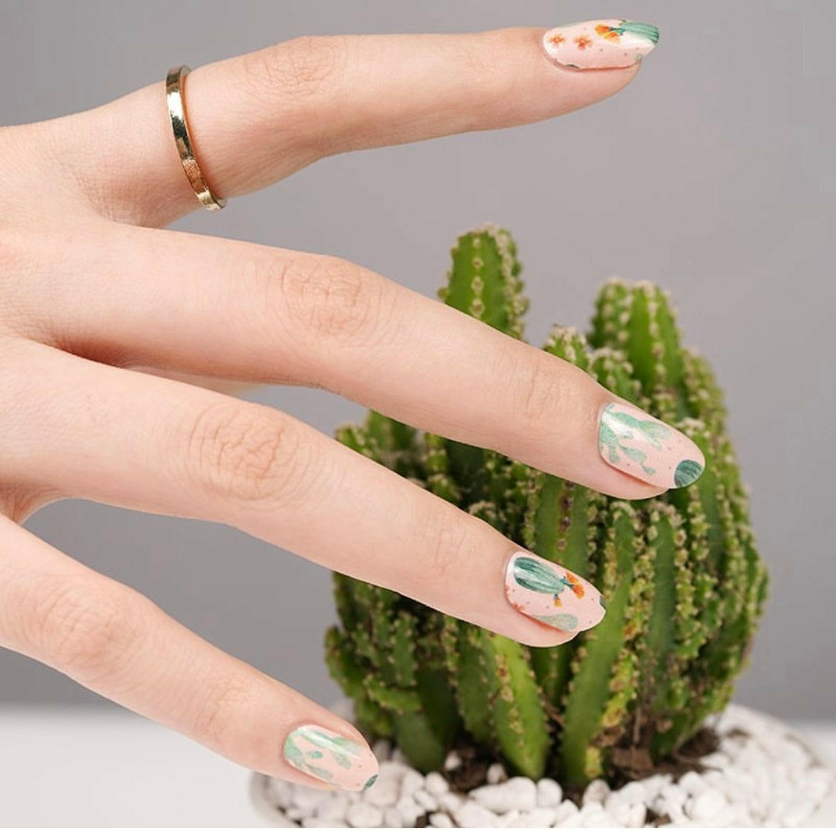 Hand wearing green cactus nail wraps beside real cactus plant showing botanical nail art