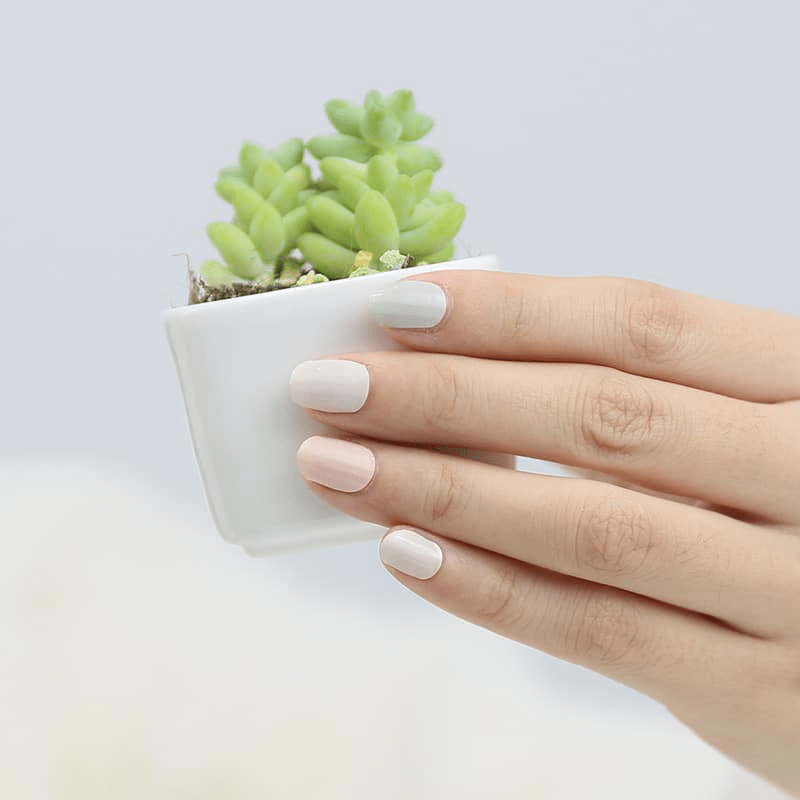 Hand holding white pot with succulent showing sage green and dusty pink nail wraps manicure