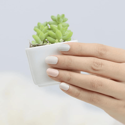 Hand holding white pot with succulent showing sage green and dusty pink nail wraps manicure