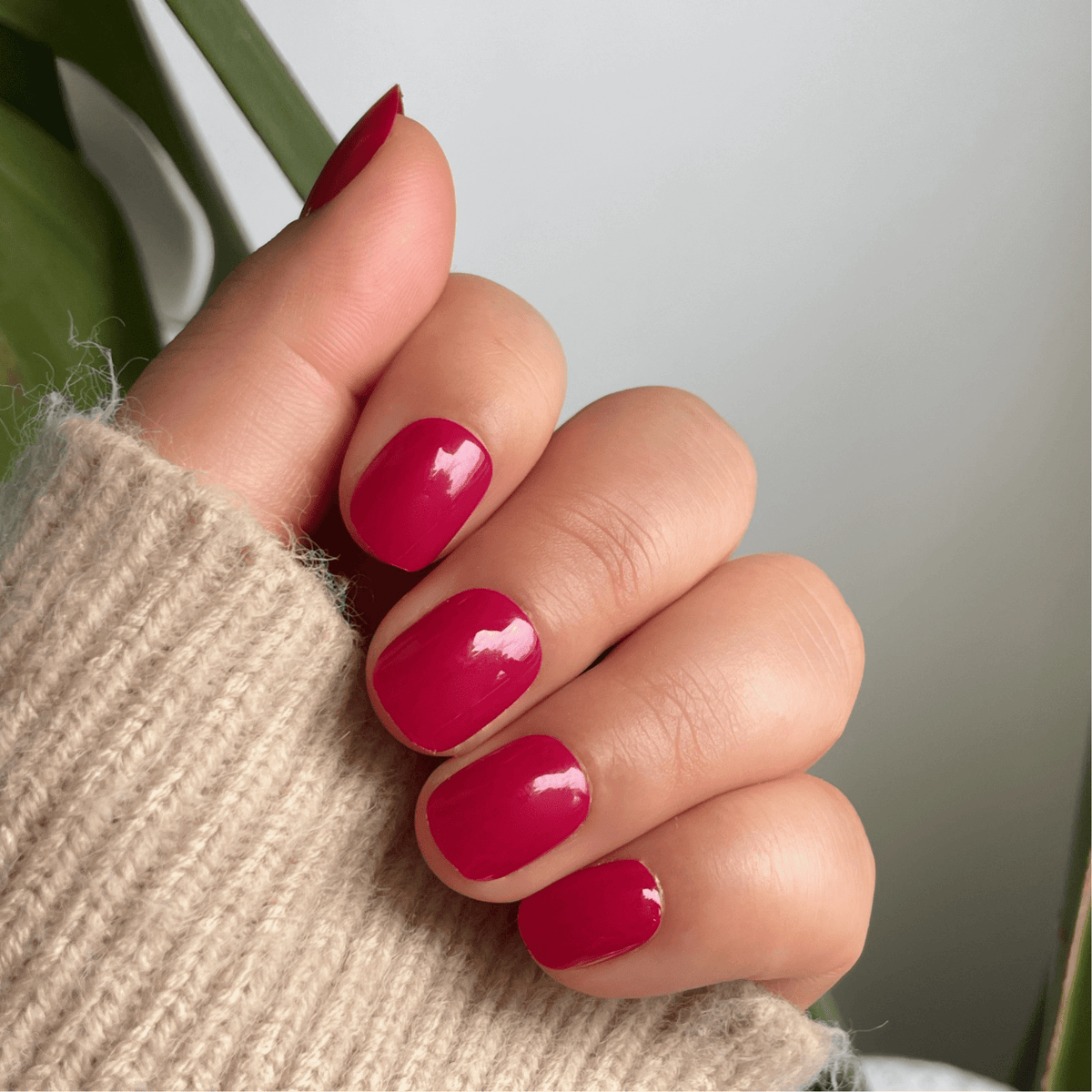 Holy Grail Nail press on Forbidden Fruit - Soft Gel Press Ons (Extra Short Natural)